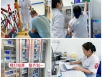 科学规划 精细管理 ——老年病内科（东区分部）的“管家婆”