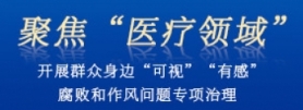 医疗领域专项治理