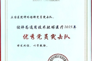 以标准化破新局 ‌——我院神经外科“熔锋”党员突击队获评环球医疗2025年优秀党员突击队‌‌